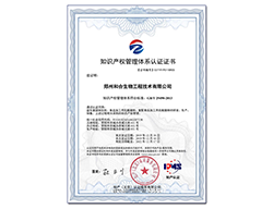 知识产权认证证书